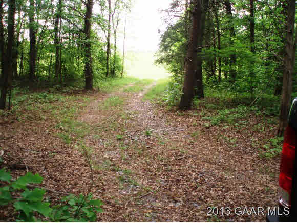 Tbd South Twin Creek Road Buckingham, VA 23921 - Photo 18 of 19 Gallery Image 18