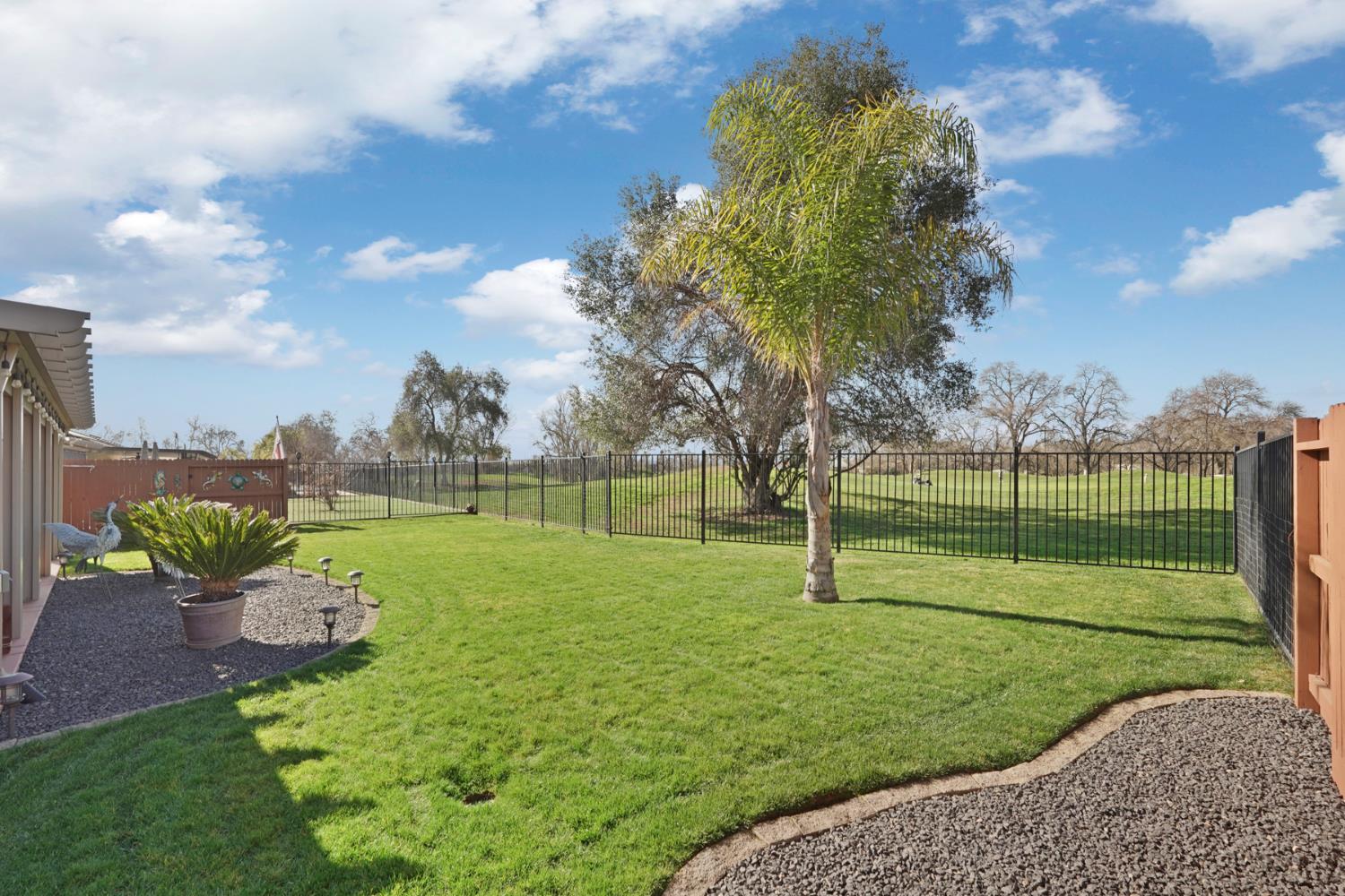 1522 Shakeley Lane Ione, CA 95640 - Photo 37 of 49