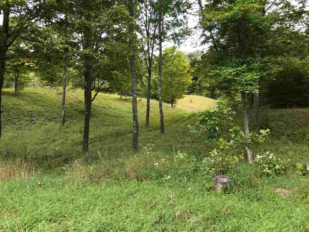 1158 Pomfret Road Woodstock, VT 05091 - Photo 7 of 15