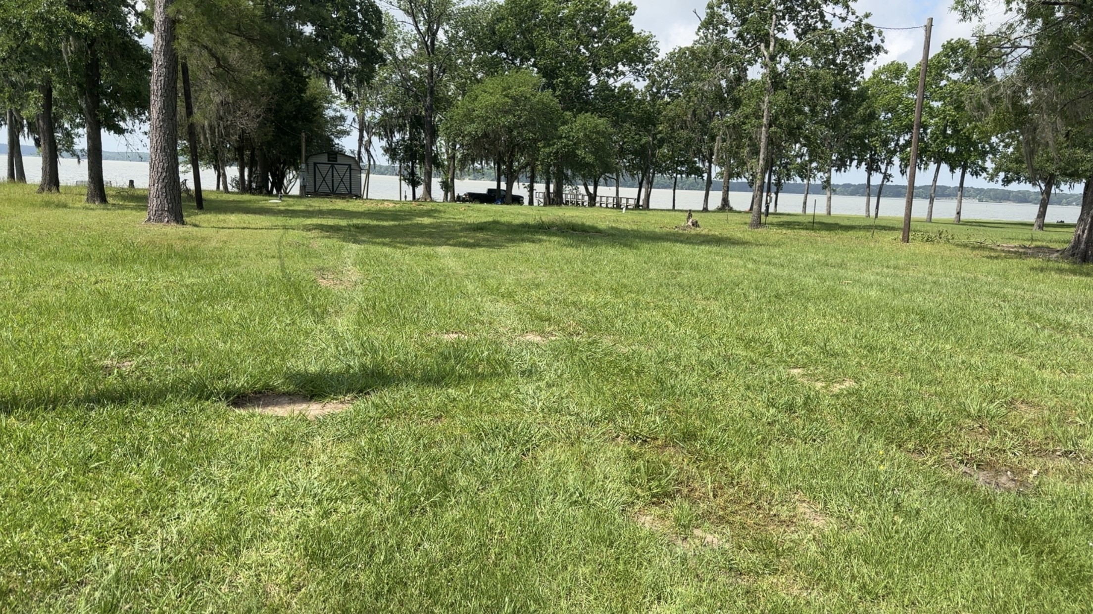207 Creek Road Trinity, TX 75862 - Photo 5 of 11