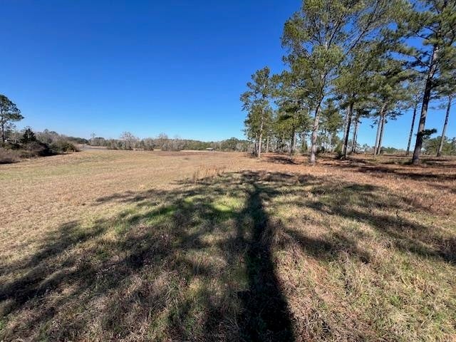 41-ac Cravey Bridge Road Opp, AL 36467 - Photo 2 of 50 Gallery Image 2