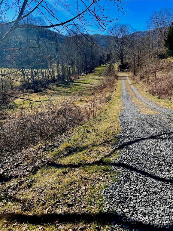 0 Columbus Cove Road Waynesville, NC 28785 - Photo 2 of 7 a view of a backyard of the house