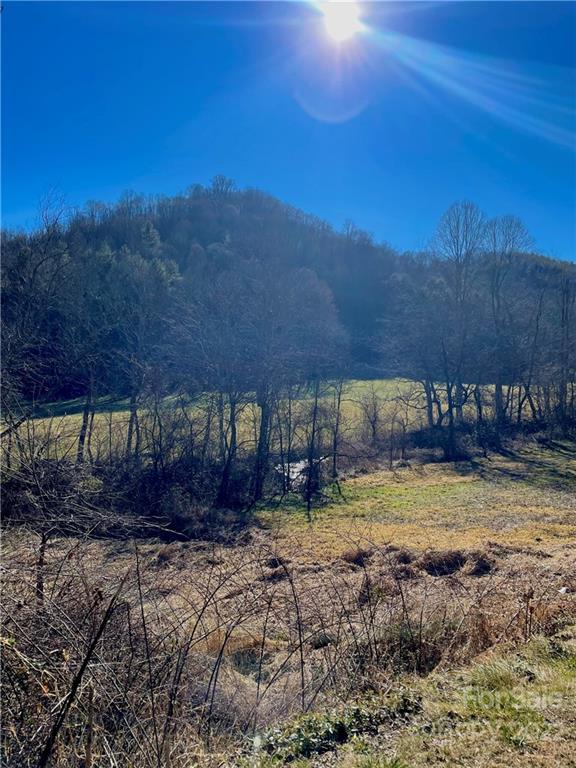 0 Columbus Cove Road Waynesville, NC 28785 - Photo 3 of 7 a view of a backyard