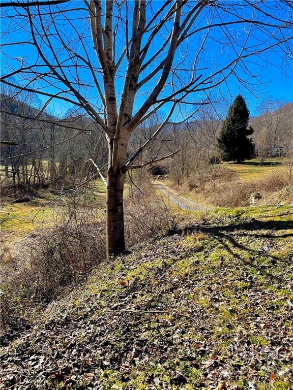 0 Columbus Cove Road Waynesville, NC 28785 - Photo 4 of 7 a view of a yard with wooden fence