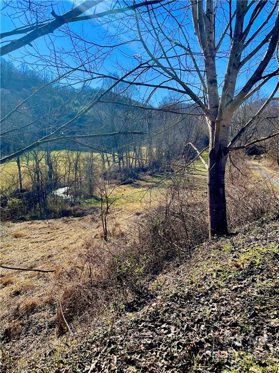 0 Columbus Cove Road Waynesville, NC 28785 - Photo 5 of 7 a view of a backyard of the house