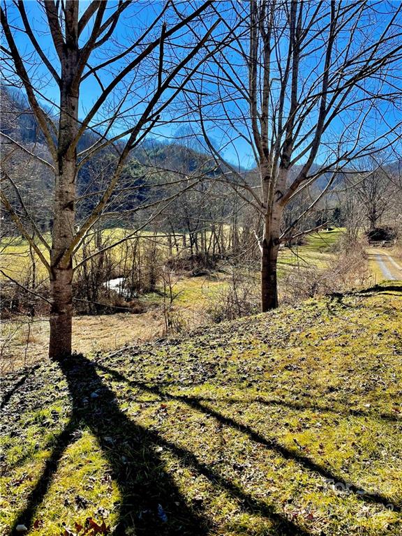 0 Columbus Cove Road Waynesville, NC 28785 - Photo 6 of 7 a view of yard with wooden fence