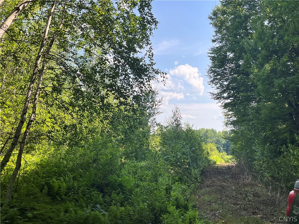Center Road Lacona, NY 13083 - Photo 3 of 38