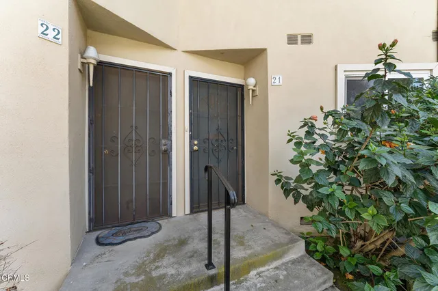 a bathroom with a shower and a plant