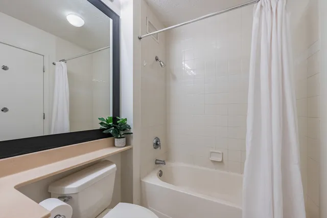 a bathroom with a shower curtain and a bathtub