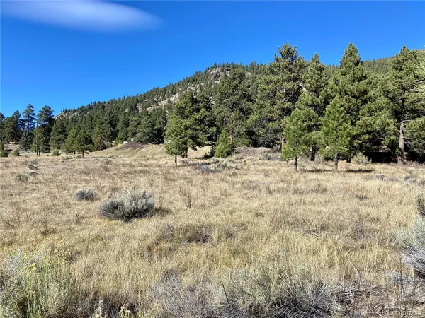 $65,000 | 166 Lonesome Pine Drive, Antonito, CO 81120