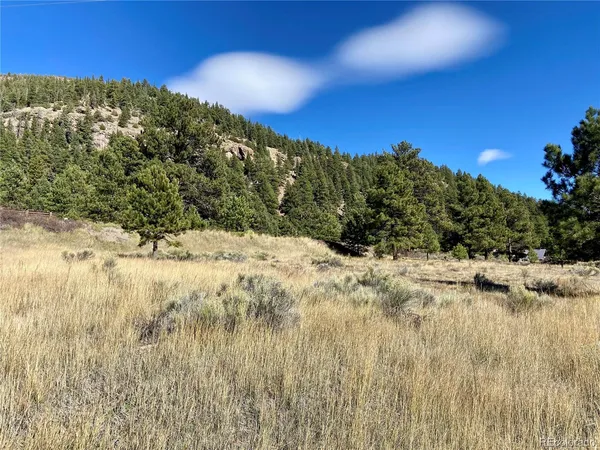 $65,000 | 166 Lonesome Pine Drive, Antonito, CO 81120