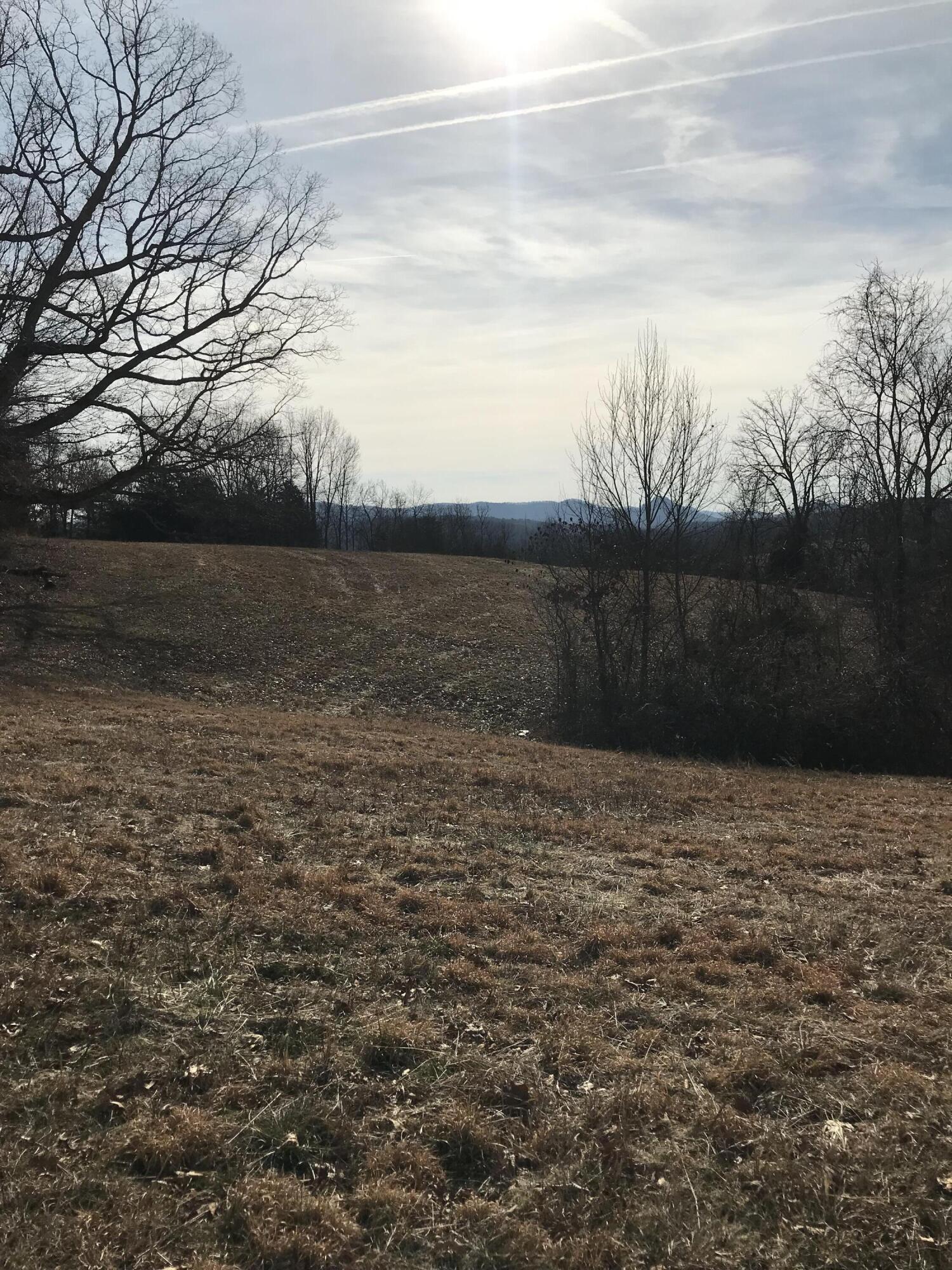945 Lillies Ferry Road Winchester, KY 40391 - Photo 3 of 16 IMG_0209