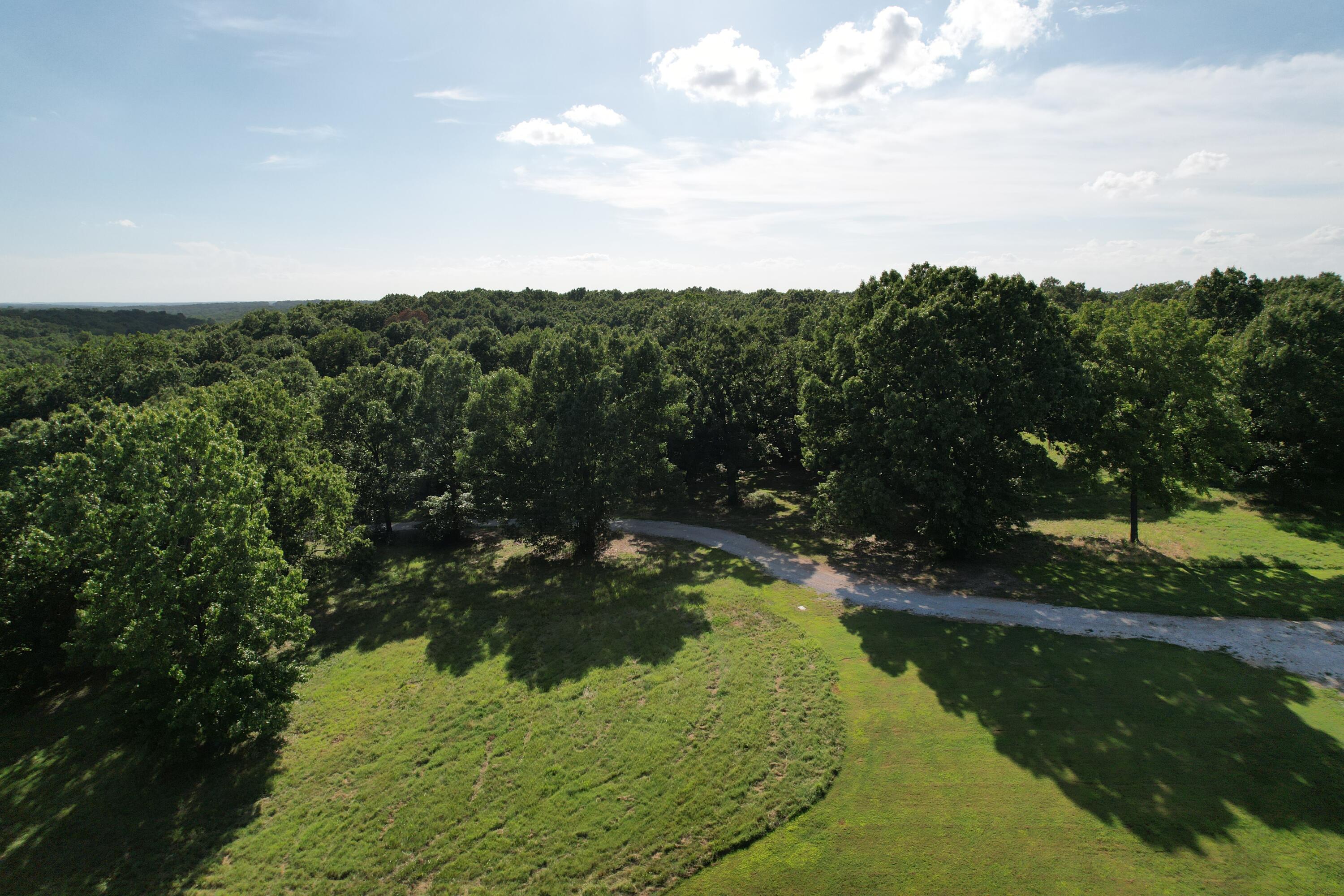 6731 Raccoon Road Pierce City, MO 65723 - Photo 39 of 99 DJI_0278