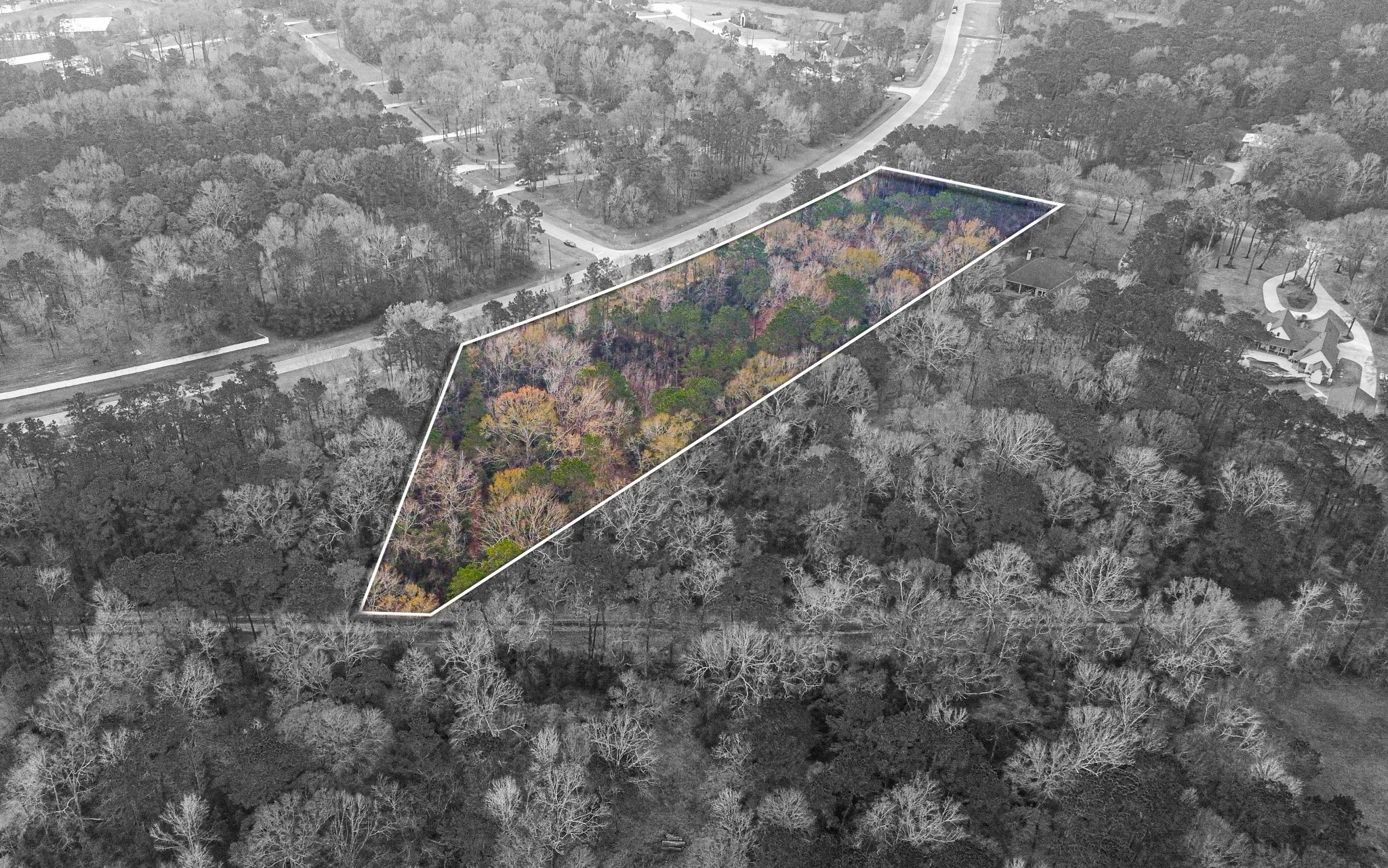 235 Lake Commons Court Huffman, TX 77336 - Photo 9 of 21