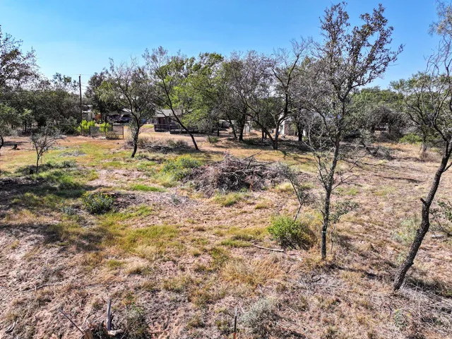 a view of a yard with a tree