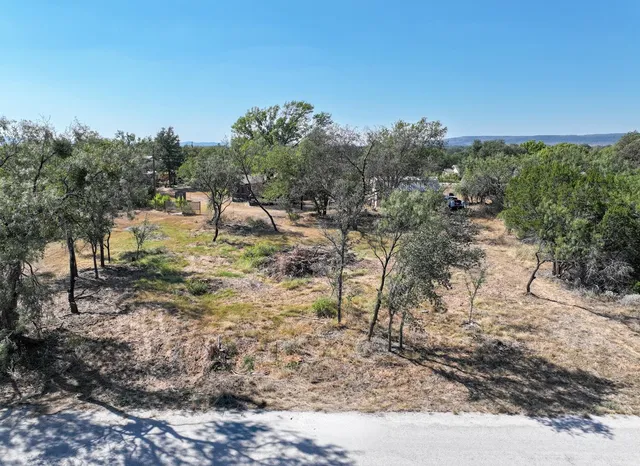 a view of a yard with a tree