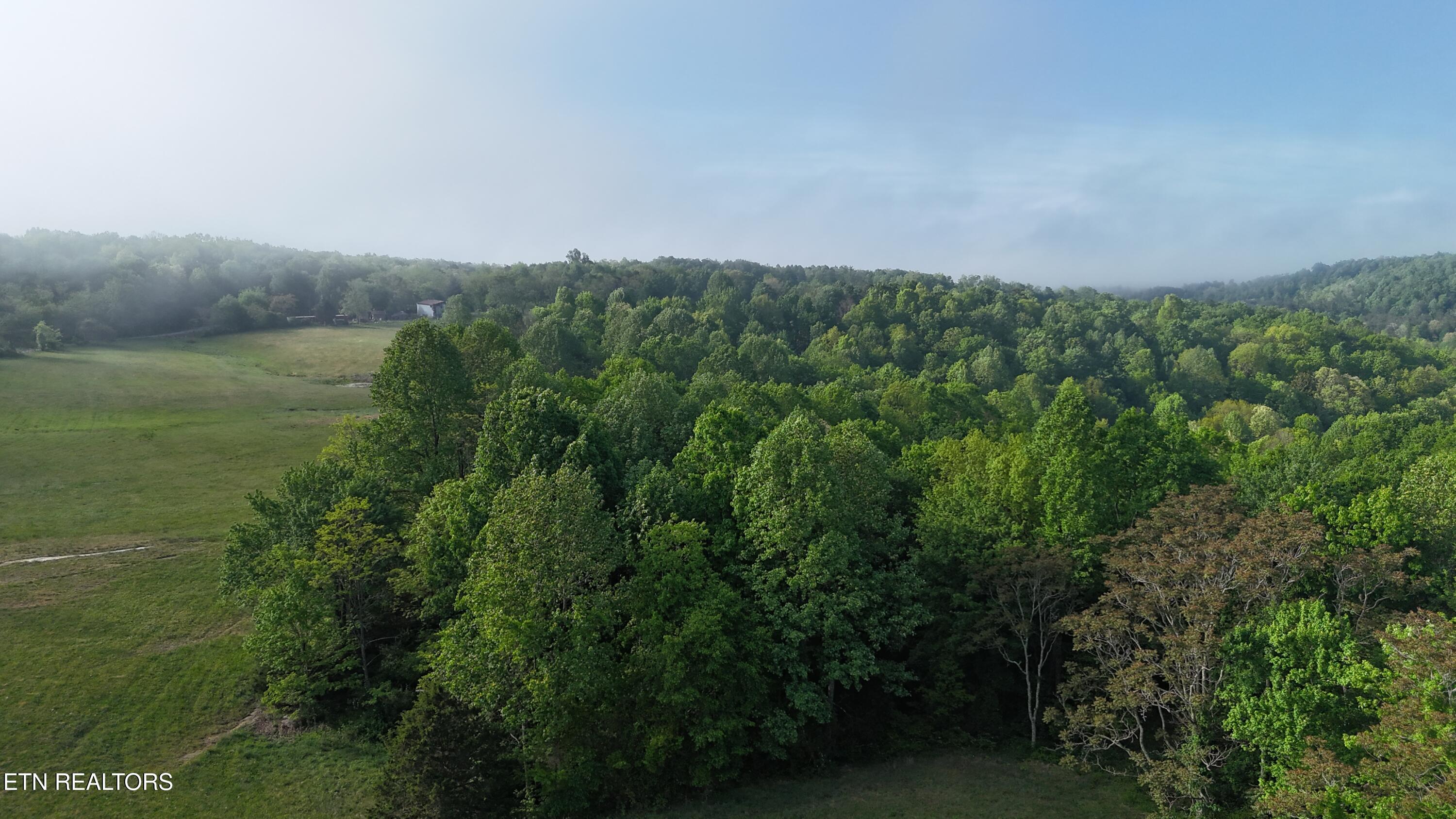 Murphy Road Crawford, TN 38554 - Photo 4 of 12 DJI_20260426084819_0029_D