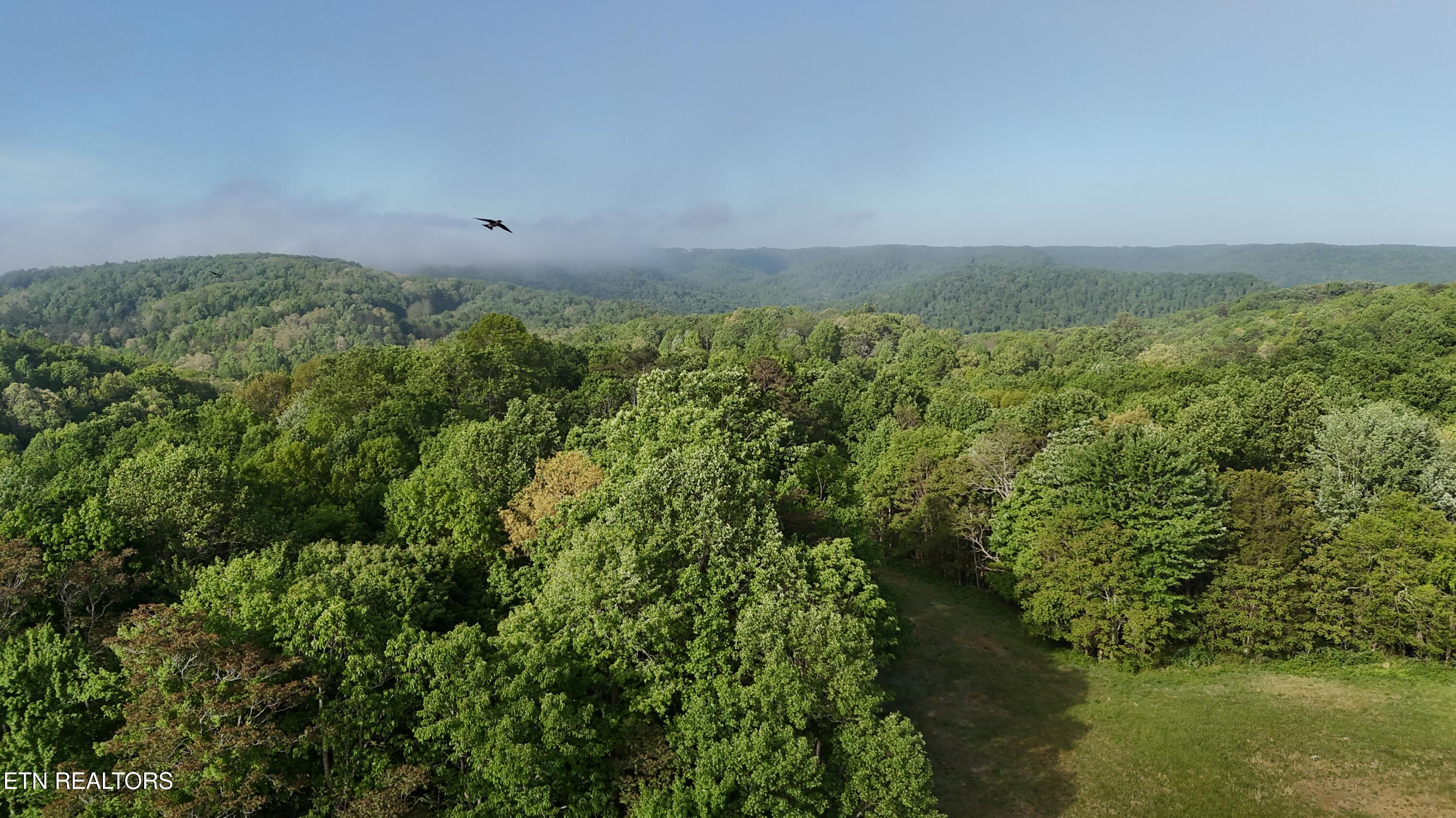 Murphy Road Crawford, TN 38554 - Photo 5 of 12 DJI_20260426084827_0030_D