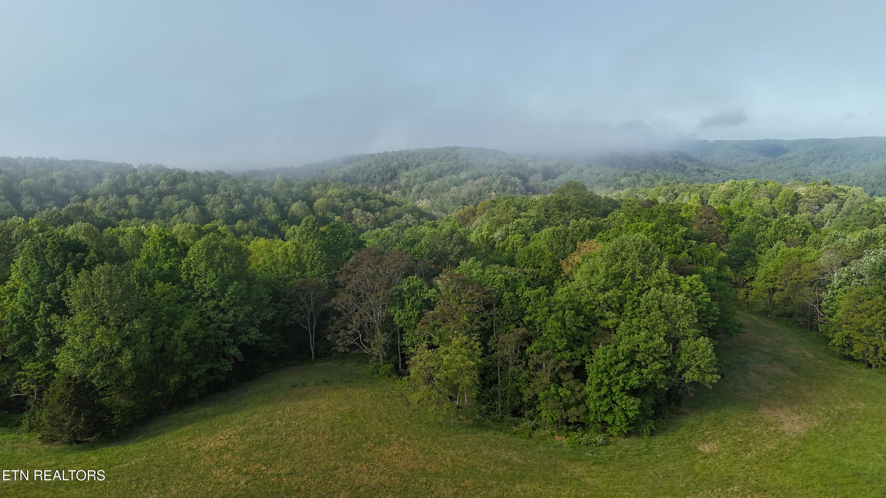 Murphy Road Crawford, TN 38554 - Photo 6 of 12 DJI_20260426084943_0033_D