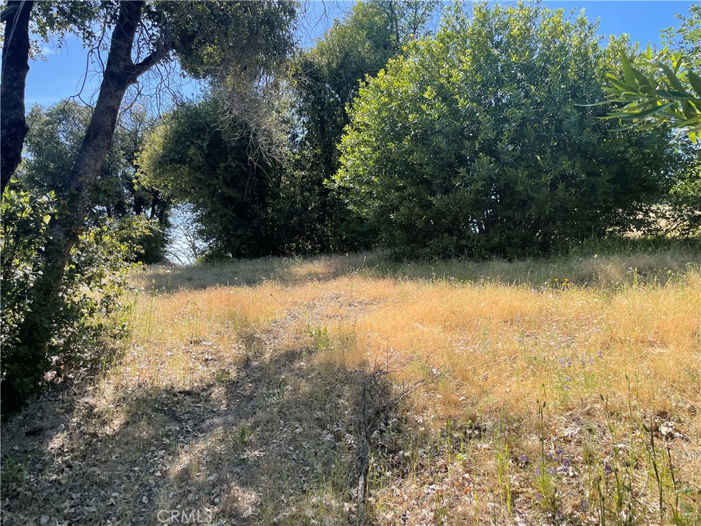 363 Raccoon Road Berry Creek, CA 95916 - Photo 15 of 27