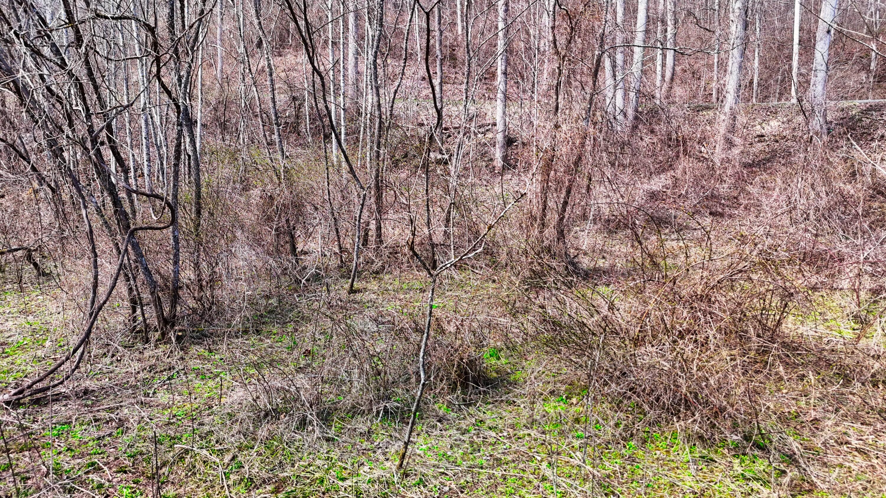 0 Sand Springs Road McKee, KY 40447 - Photo 45 of 58 DJI_20250318131454_0073_D