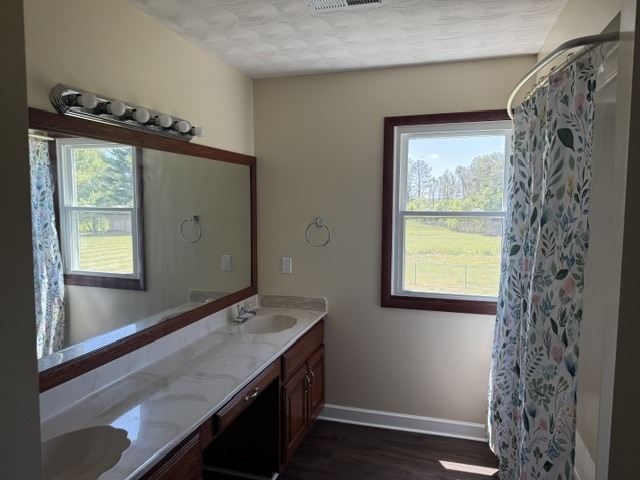 6241 Wards Mill Road Marion, IL 62959 - Photo 16 of 29 a bathroom with a sink a mirror and a window