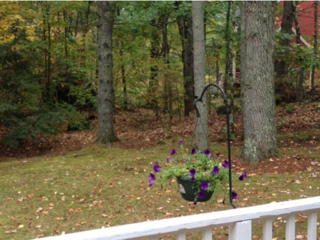 8 Beech Hill Road Exeter, NH 03833 - Photo 17 of 22
