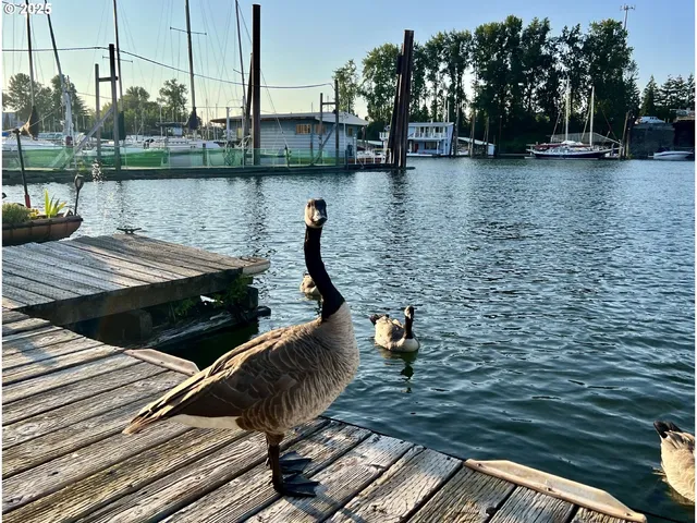 a front view of a house with a ocean view
