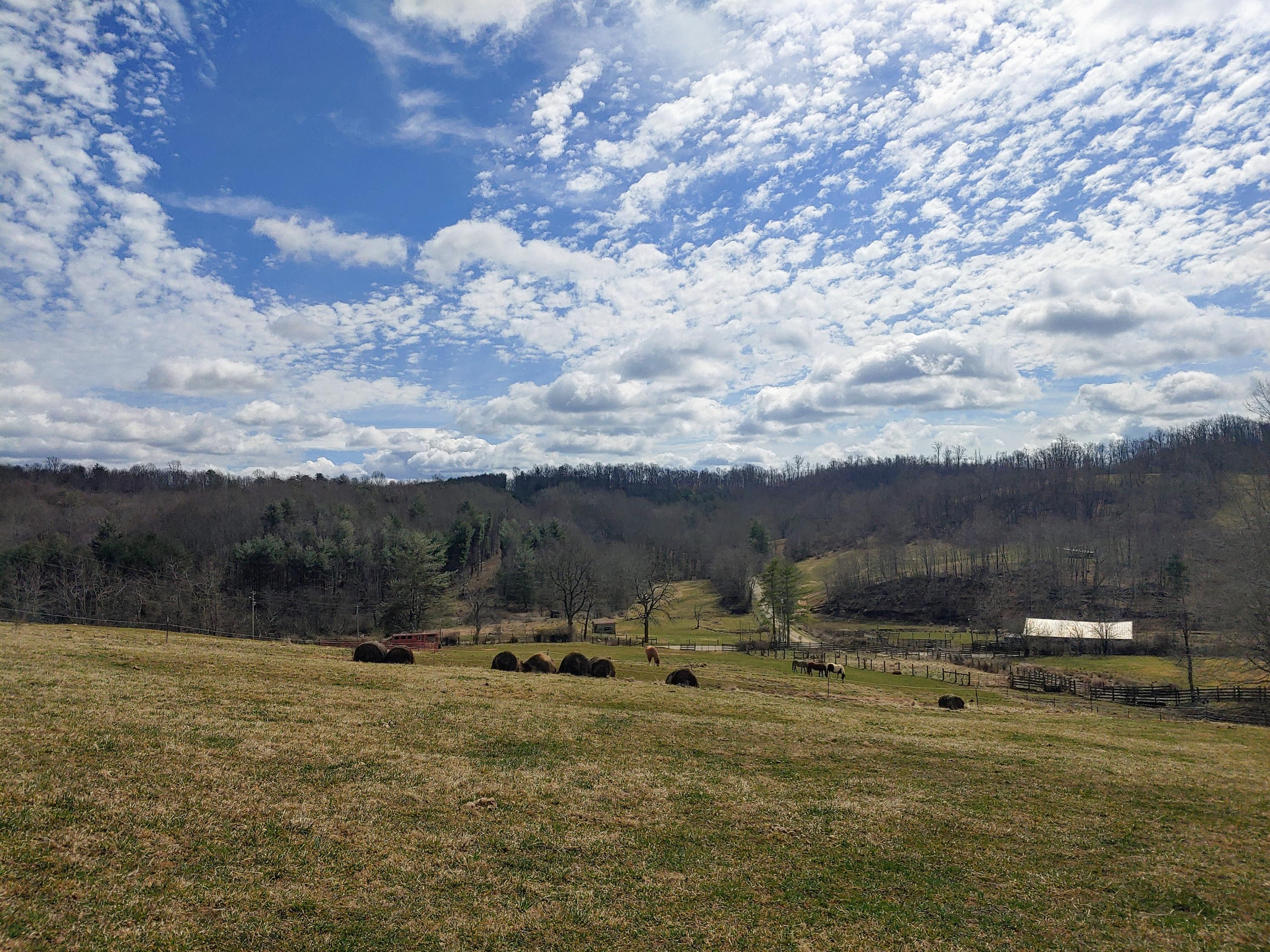 0 Ferney Creek Road Northwest Willis, VA 24380 - Photo 1 of 17 a view of a lake with houses