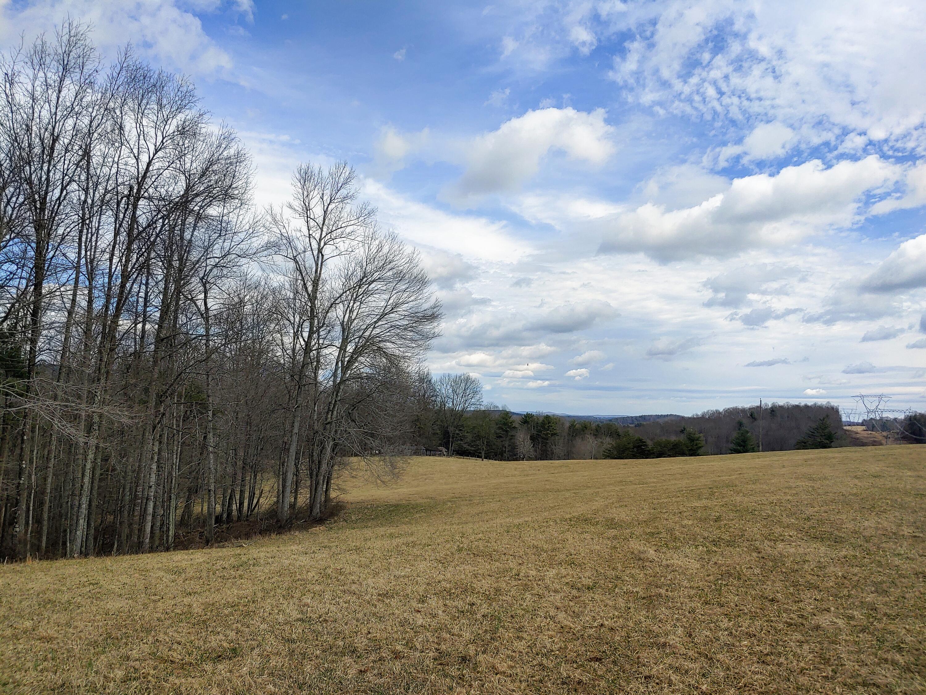 0 Ferney Creek Road Northwest Willis, VA 24380 - Photo 14 of 17