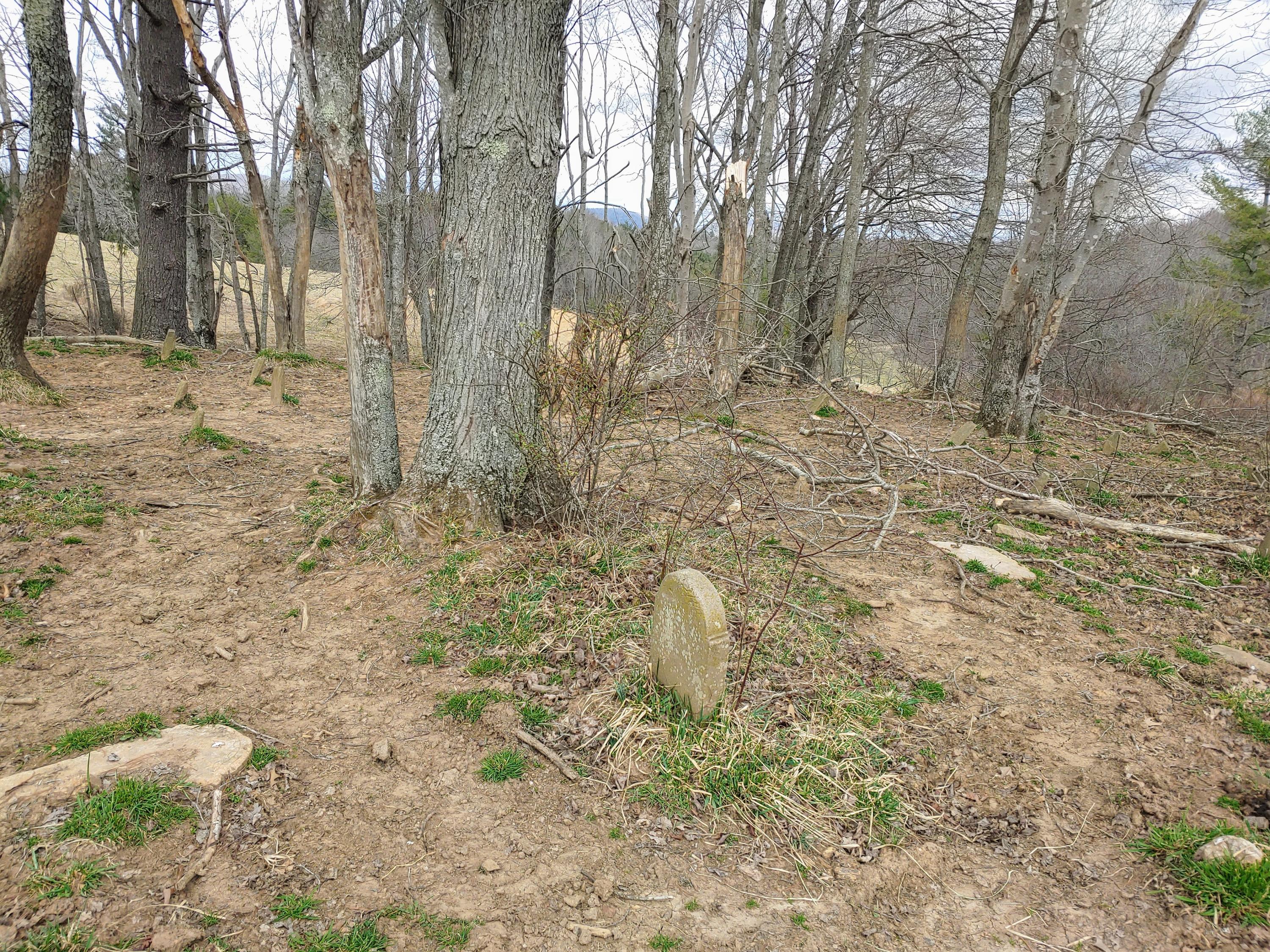 0 Ferney Creek Road Northwest Willis, VA 24380 - Photo 16 of 17 a view of a yard with trees