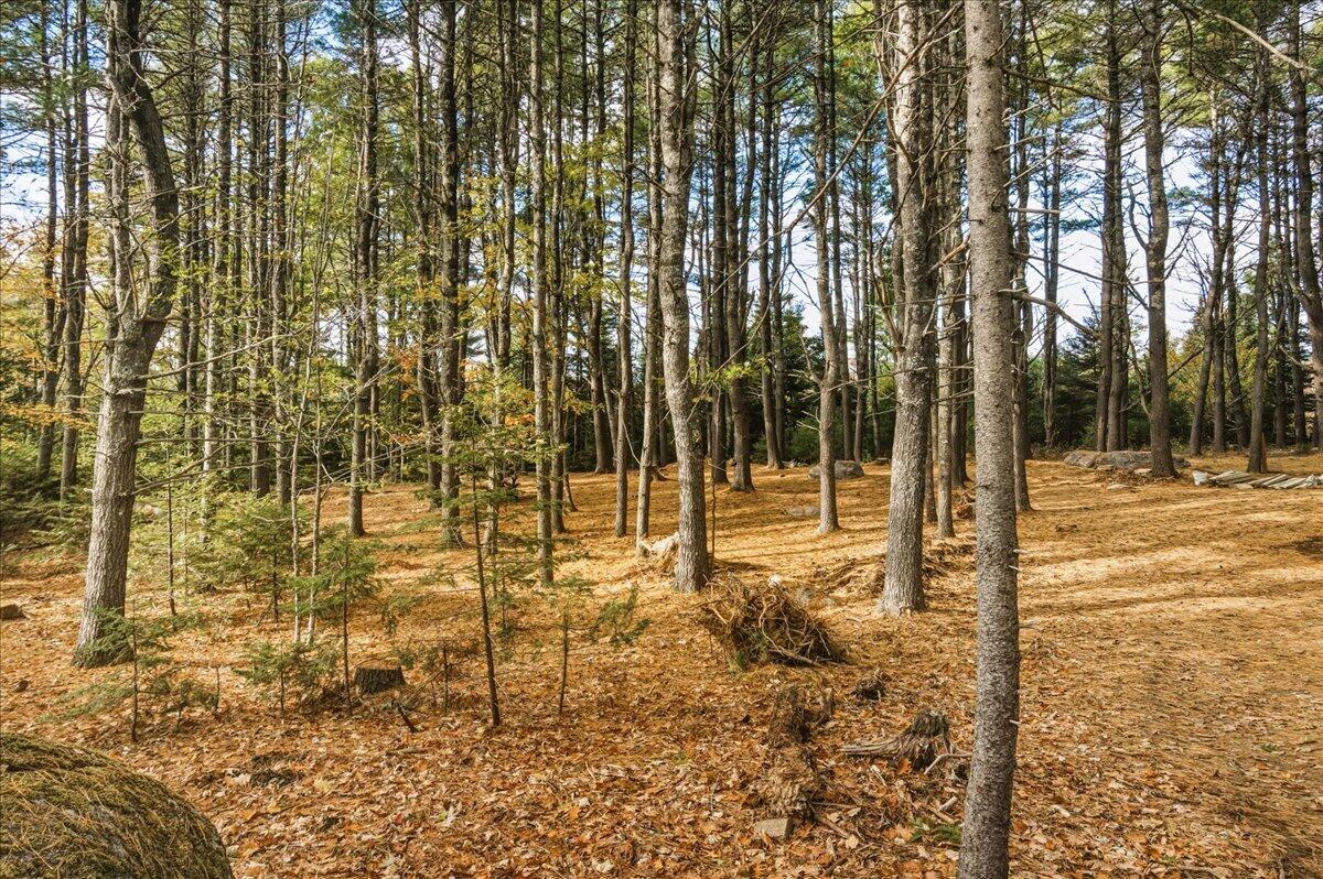 590 Range Road, Unit 2 Blue Hill, ME 04614 - Photo 22 of 30 10-580 Range Rd (21 of 21)