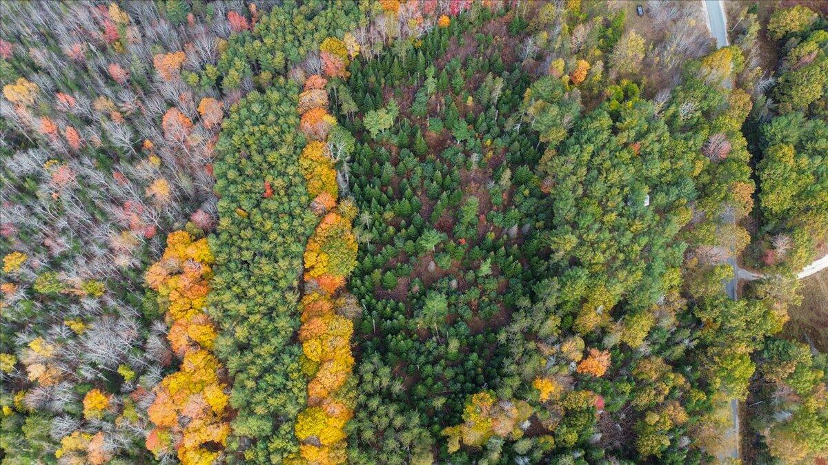 590 Range Road, Unit 2 Blue Hill, ME 04614 - Photo 24 of 30 27-580 Range Rd_drone (4 of 9)