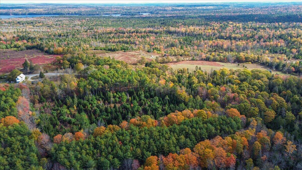590 Range Road, Unit 2 Blue Hill, ME 04614 - Photo 26 of 30 30-580 Range Rd_drone (8 of 9)
