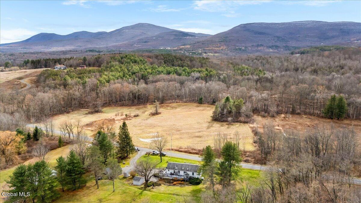 858 Stone Bridge Road Durham, NY 12423 - Photo 40 of 40 08-DJI_20251117131414_0073_D