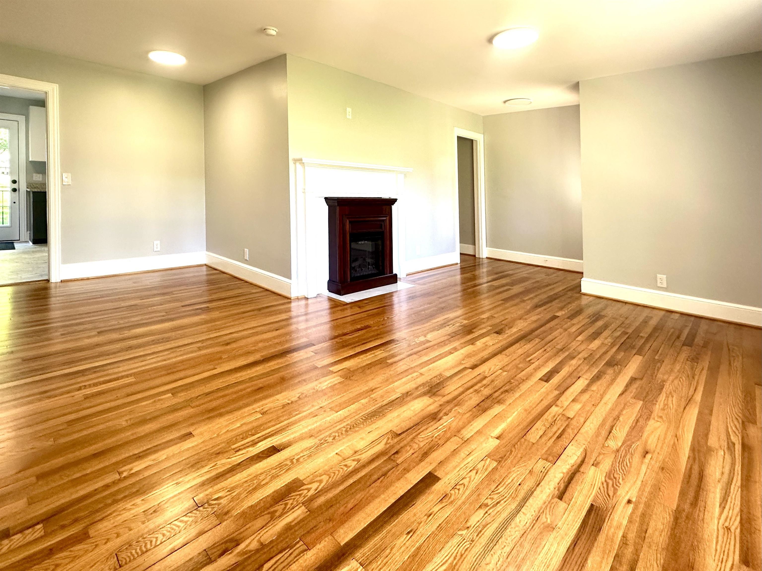 1300 East Rutherford Street Landrum, SC 29356 - Photo 7 of 21