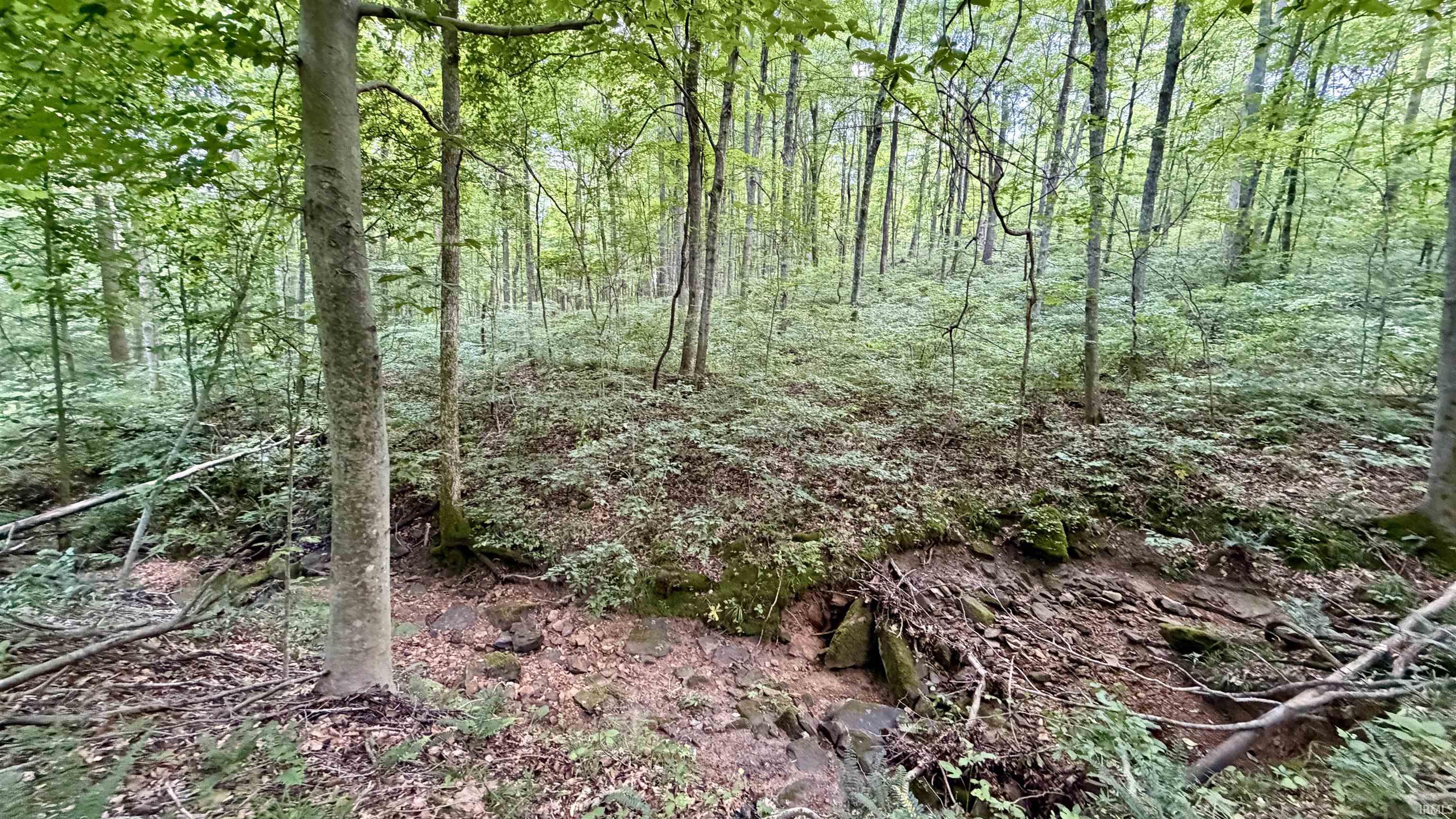 64 State Road English, IN 47118 - Photo 18 of 27