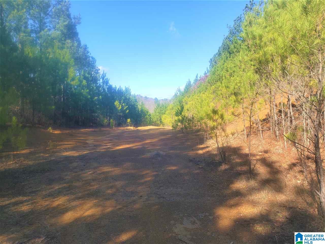 Redman Hall Road, Unit 2 Pinson, AL 35126 - Photo 10 of 12