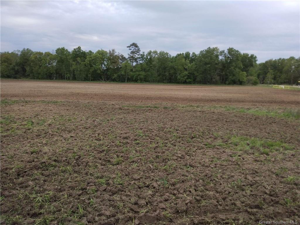 0 Dewolf & Carl Hoppe Road Iowa, LA 70647 - Photo 1 of 4 Gallery Image 1