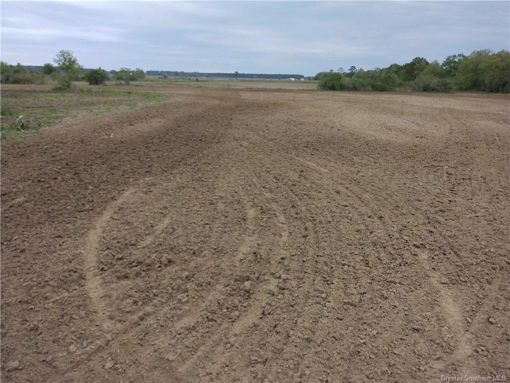 0 Dewolf & Carl Hoppe Road Iowa, LA 70647 - Photo 2 of 4 Gallery Image 2