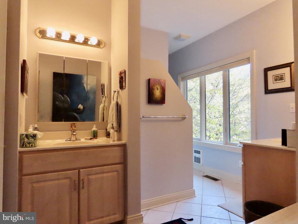 3016 Etlan Road Etlan, VA 22719 - Photo 26 of 42 Around to shower