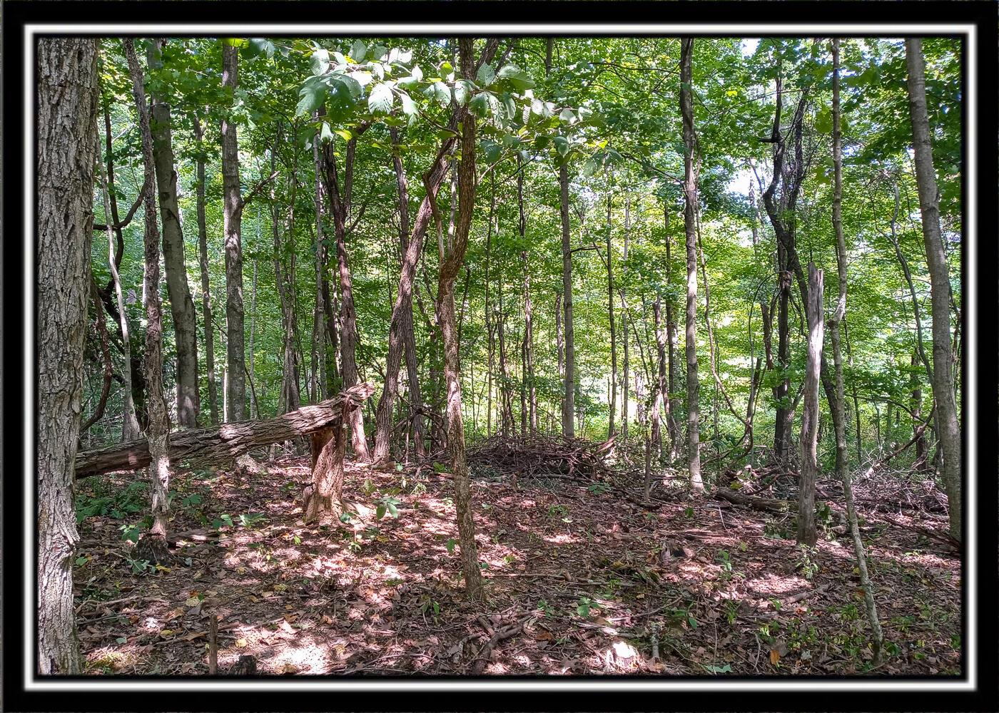 0 Hampton Hollow Road Langsville, OH 45741 - Photo 32 of 58 Hampton4-16