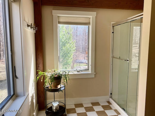 469 Boulger Road Stamford, VT 05352 - Photo 16 of 37 a bathroom with a window and a potted plant