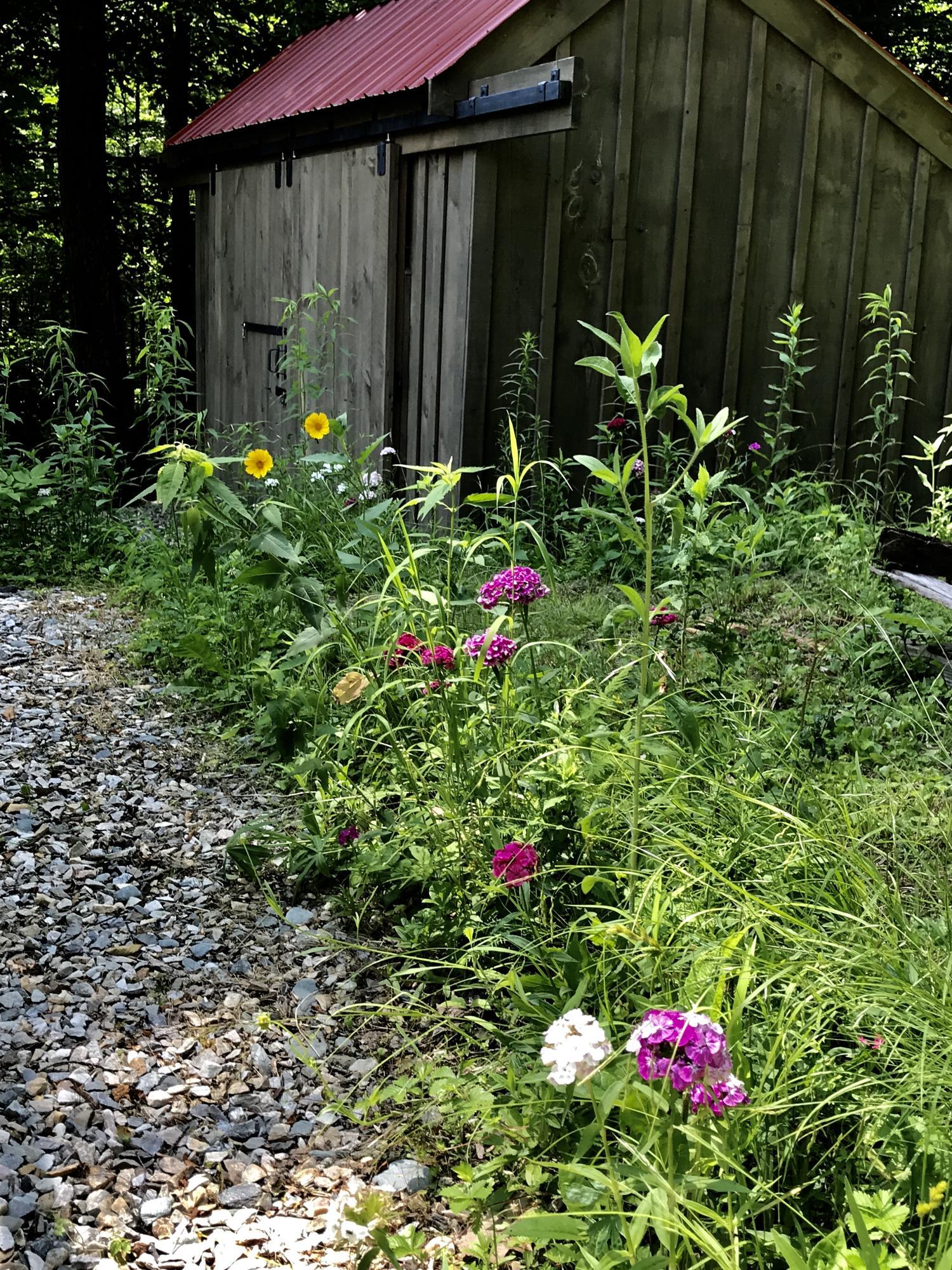 469 Boulger Road Stamford, VT 05352 - Photo 29 of 37 a view of a with flower