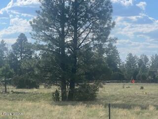 102 C Lone Horseman Road Pinetop, AZ 85935 - Photo 1 of 3 a view of a yard