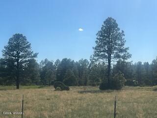 102 C Lone Horseman Road Pinetop, AZ 85935 - Photo 2 of 3 a view of a yard with trees