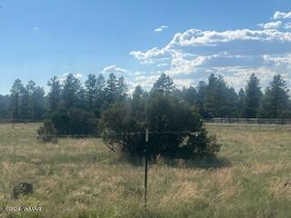 102 C Lone Horseman Road Pinetop, AZ 85935 - Photo 3 of 3 a view of a forest