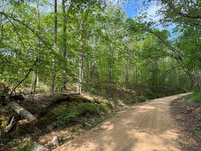 455 Moss Spring Hollow Road Centerville, TN 37033 - Photo 2 of 13 a view of a forest with trees