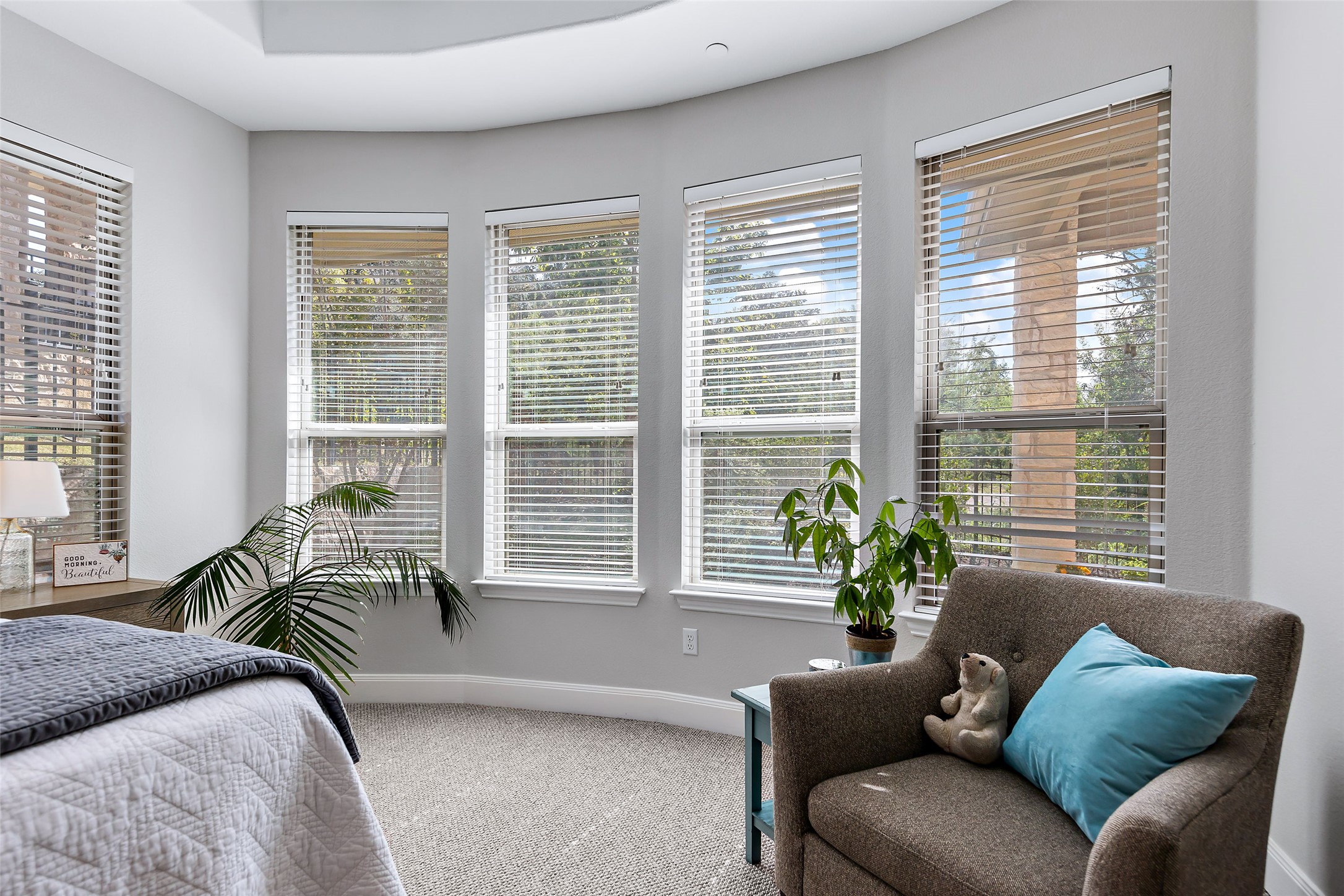 106 Maxwell Way Austin, TX 78738 - Photo 14 of 40 Primary bedroom with bay windows