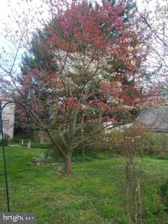 2002 Church Road Flourtown, PA 19031 - Photo 34 of 34